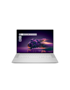 Dell 16 Premium (DA16250)